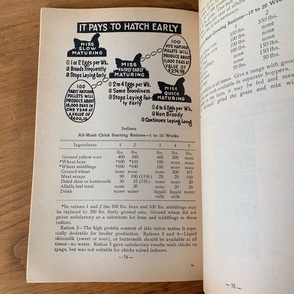 Hoard's Dairyman Feed Guide How to Treat Common Ailments Paperback Vintage - Picture 13 of 16